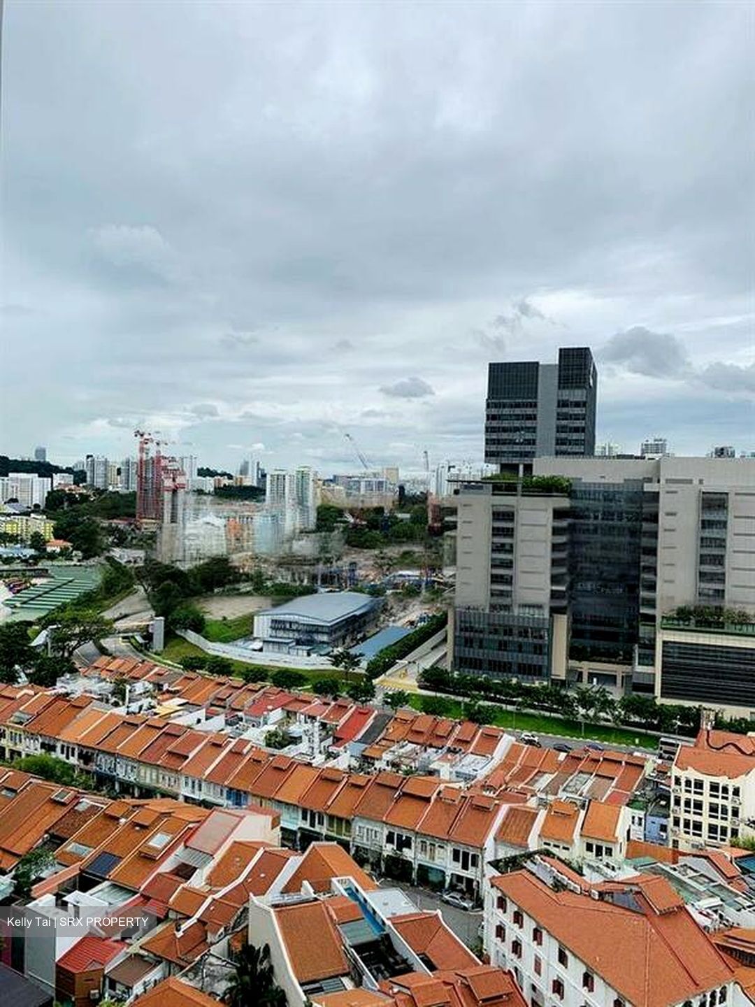 Spottiswoode Suites (D2), Apartment #478585951